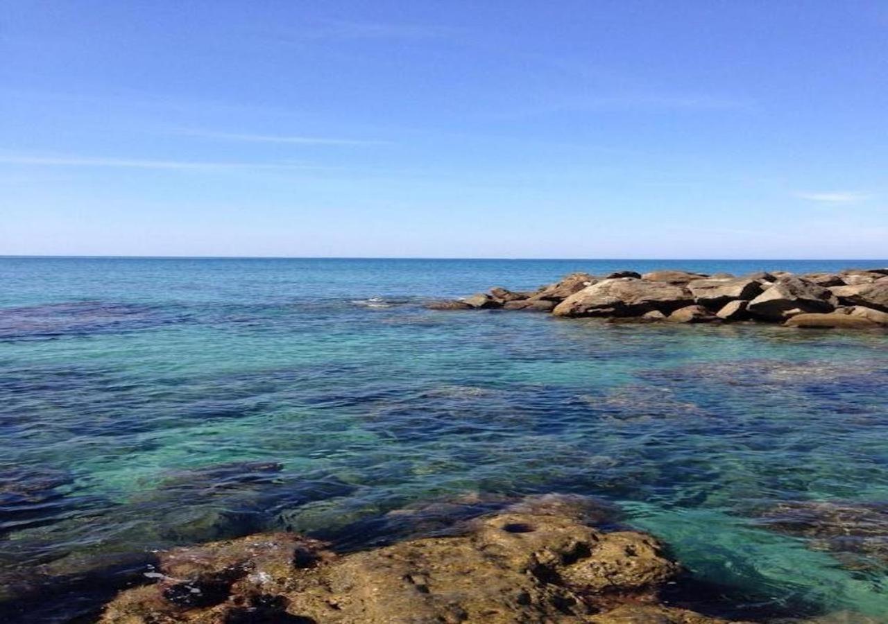 L'Albero Di Limoni Sul Mare Di Pizzo Vila Exterior foto