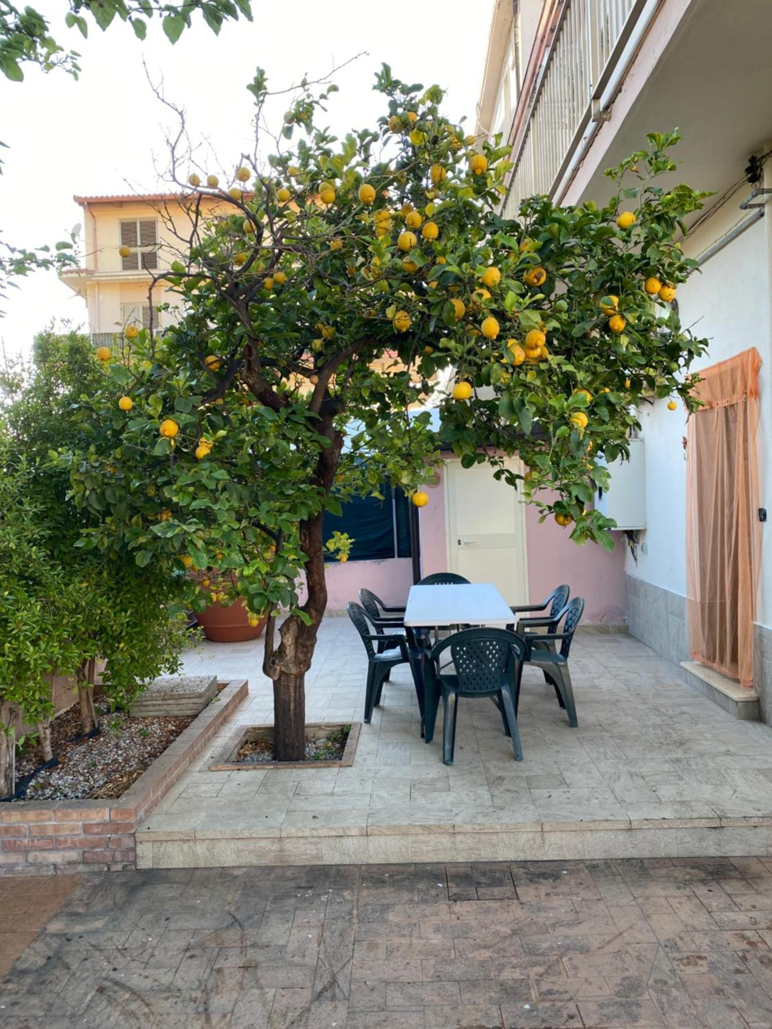 L'Albero Di Limoni Sul Mare Di Pizzo Vila Exterior foto