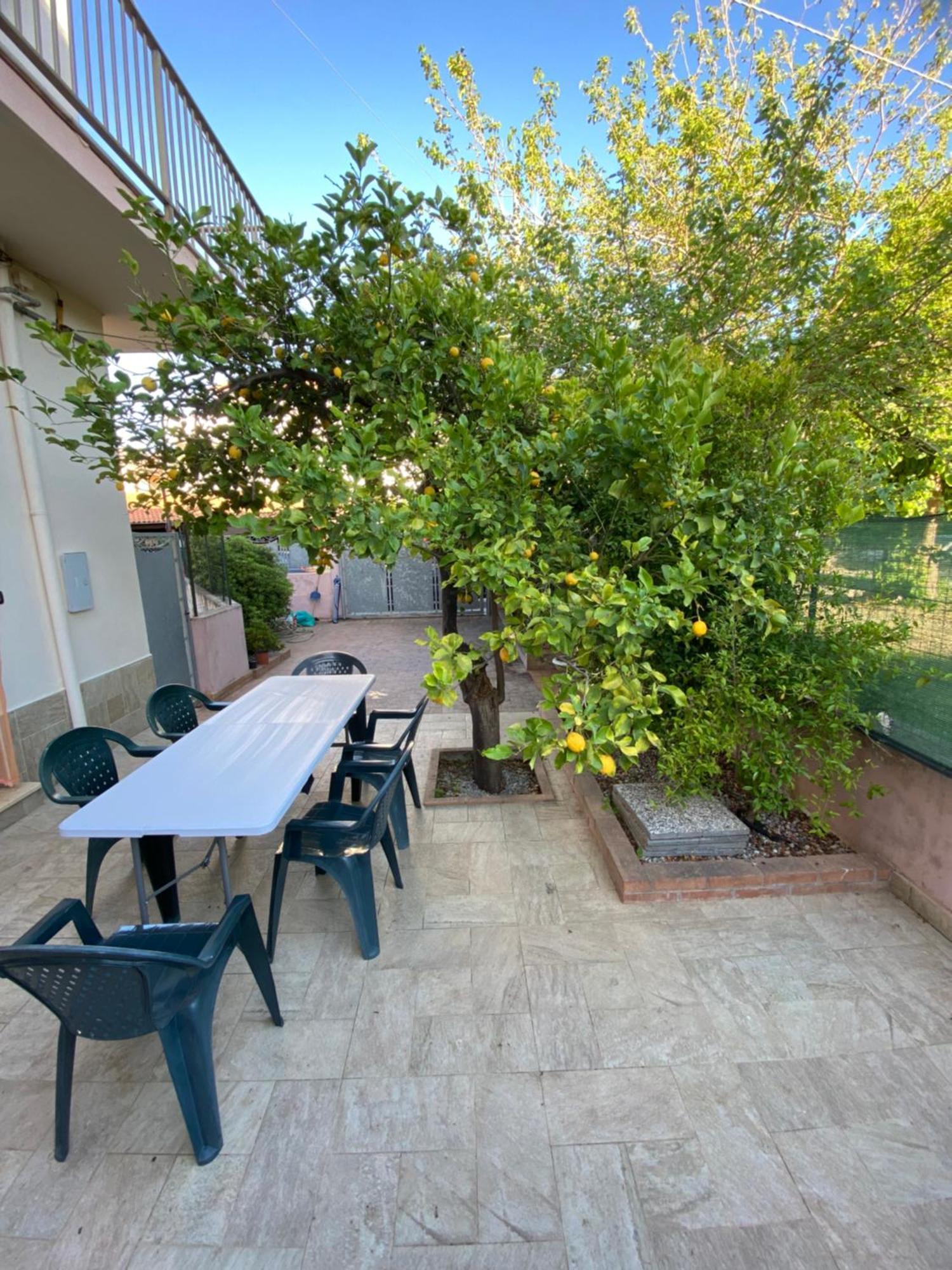 L'Albero Di Limoni Sul Mare Di Pizzo Vila Exterior foto
