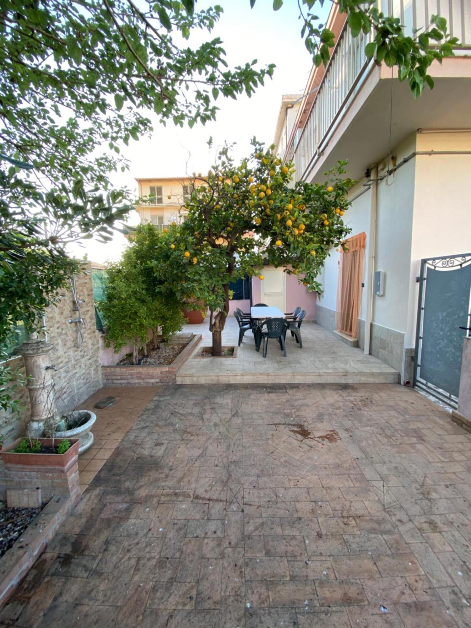 L'Albero Di Limoni Sul Mare Di Pizzo Vila Exterior foto